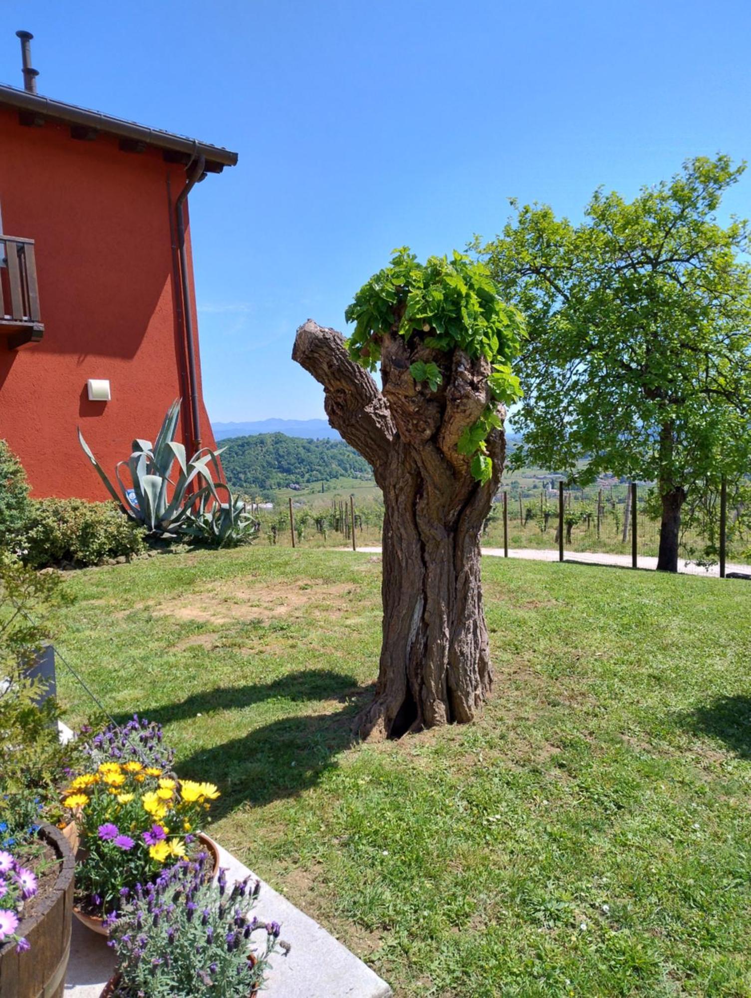Le Badie Wine Resort Rosazzo Eksteriør billede