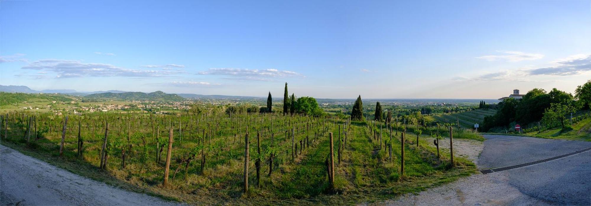 Le Badie Wine Resort Rosazzo Eksteriør billede